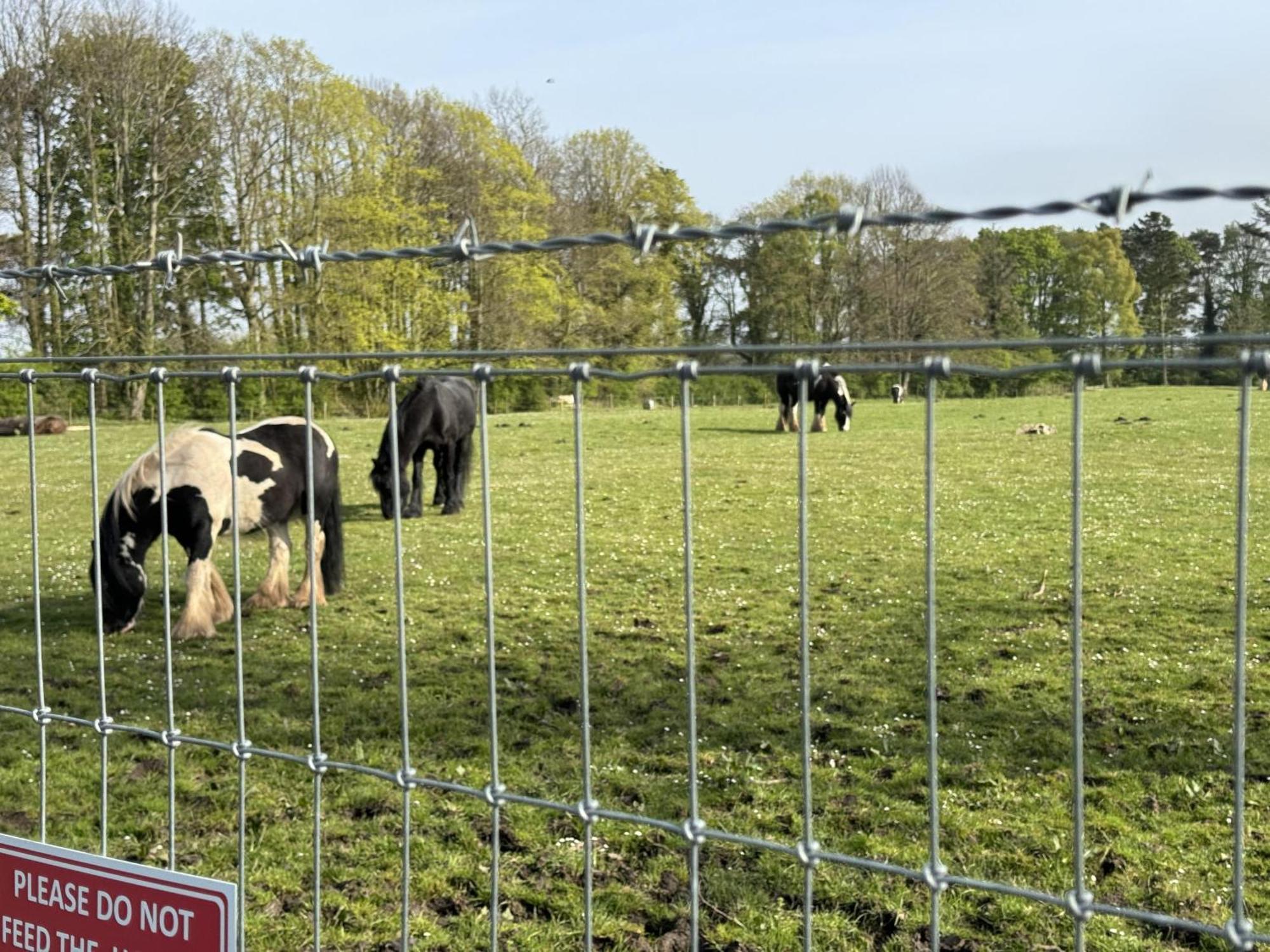 Pony Gate Caravan On Haggerstone Castle West Lawn Berwick Upon Tweed Bagian luar foto