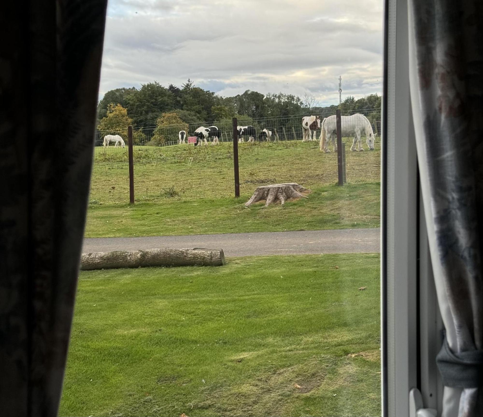 Pony Gate Caravan On Haggerstone Castle West Lawn Berwick Upon Tweed Bagian luar foto